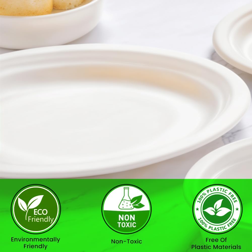 Biodegradable Bagasse Paper Plates 9 23cm Amico Packaging Limited