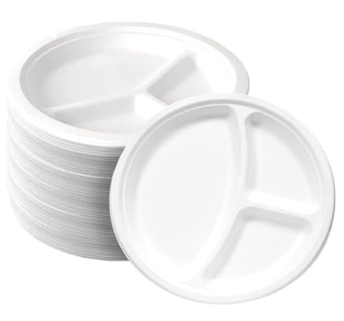 Reusable 3 Compartment Plastic Plates 500pcs 10" (26cm)