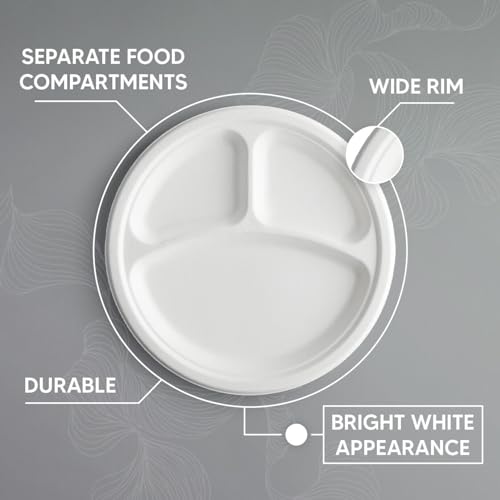 Reusable 3 Compartment Plastic Plates 500pcs 10" (26cm)