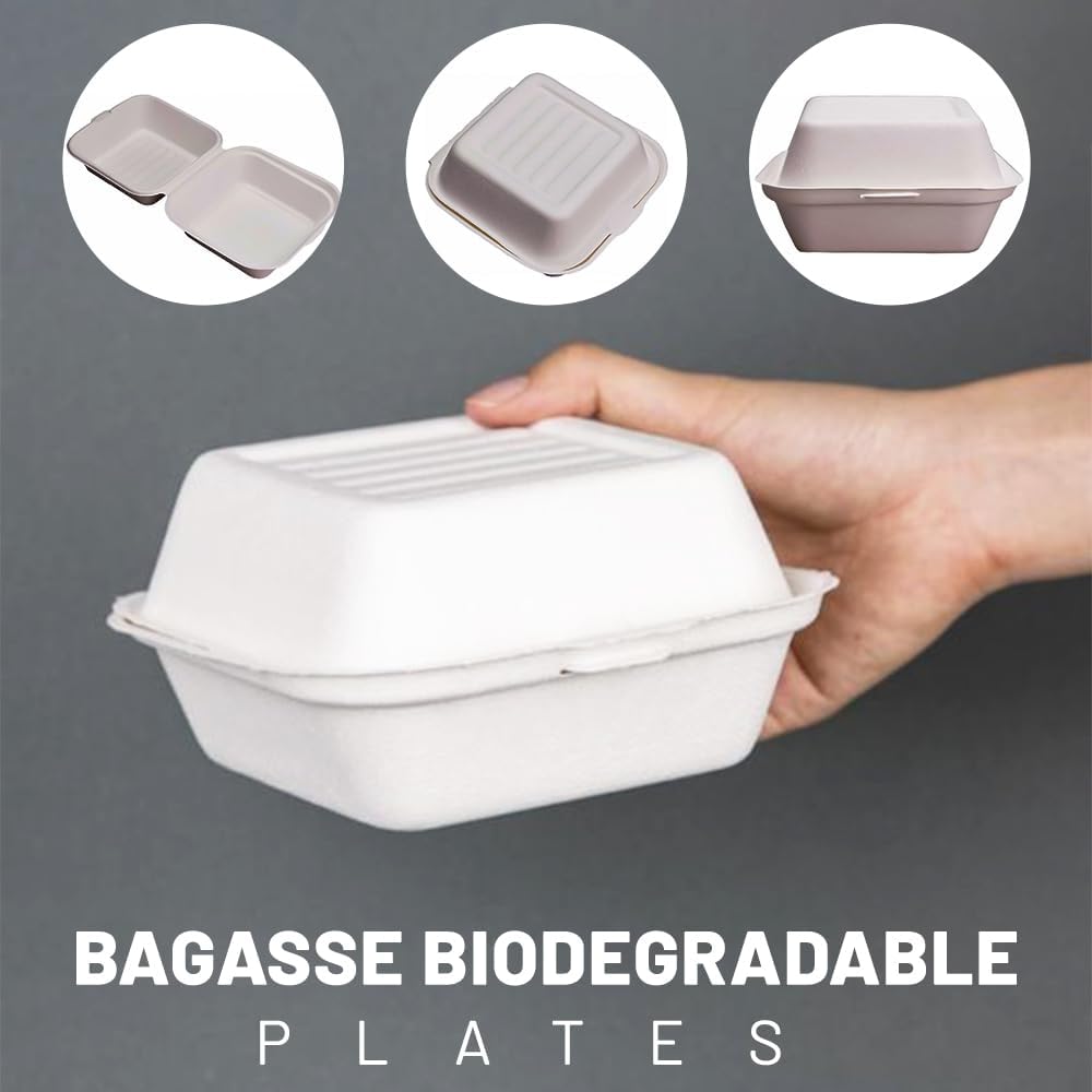 Biodegradable Disposable Bagasse Burger Box 6 x 6 Inch