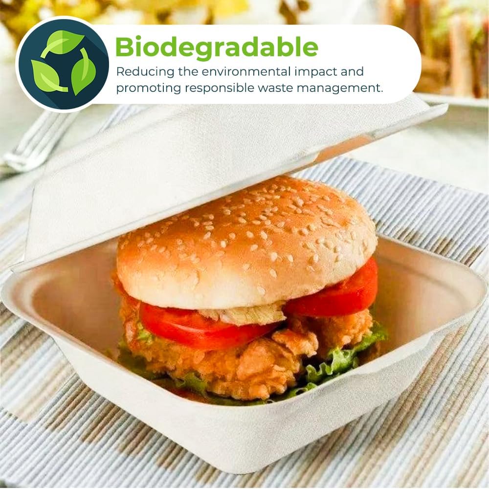 Biodegradable Disposable Bagasse Burger Box 6 x 6 Inch