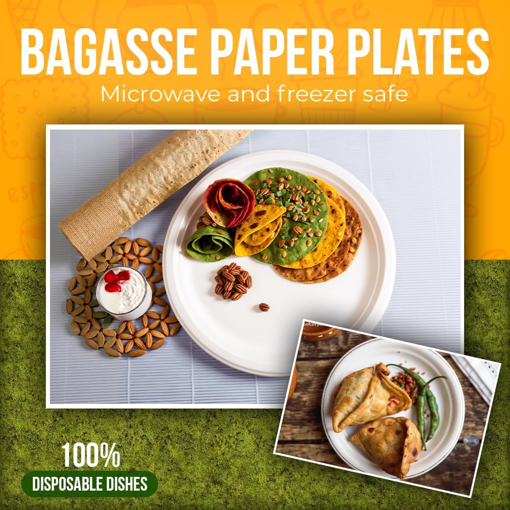 Biodegradable  Bagasse Paper Plates 10" (26cm)